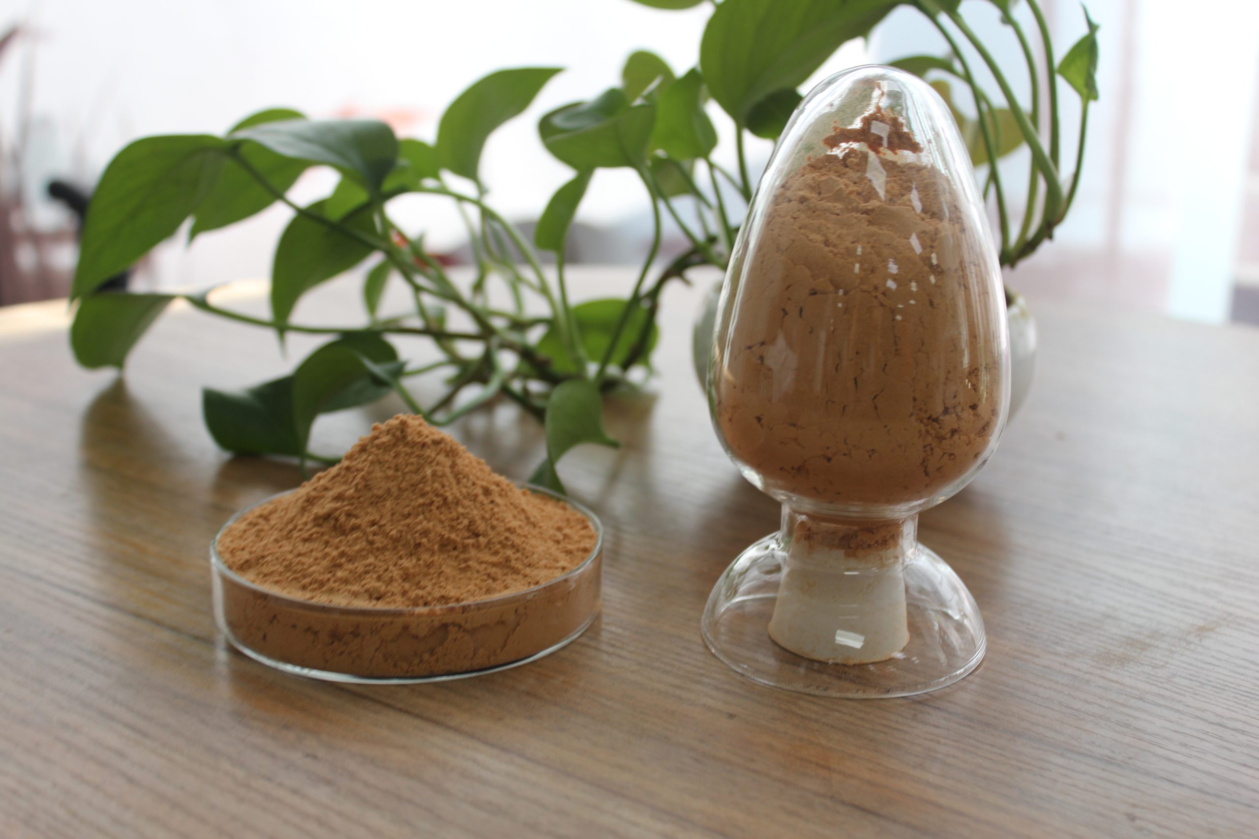Solution for Feeding Tannic Acid