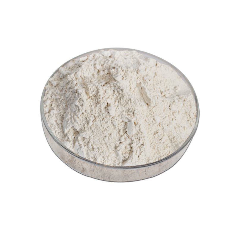 Plant protein filler Seta SF1